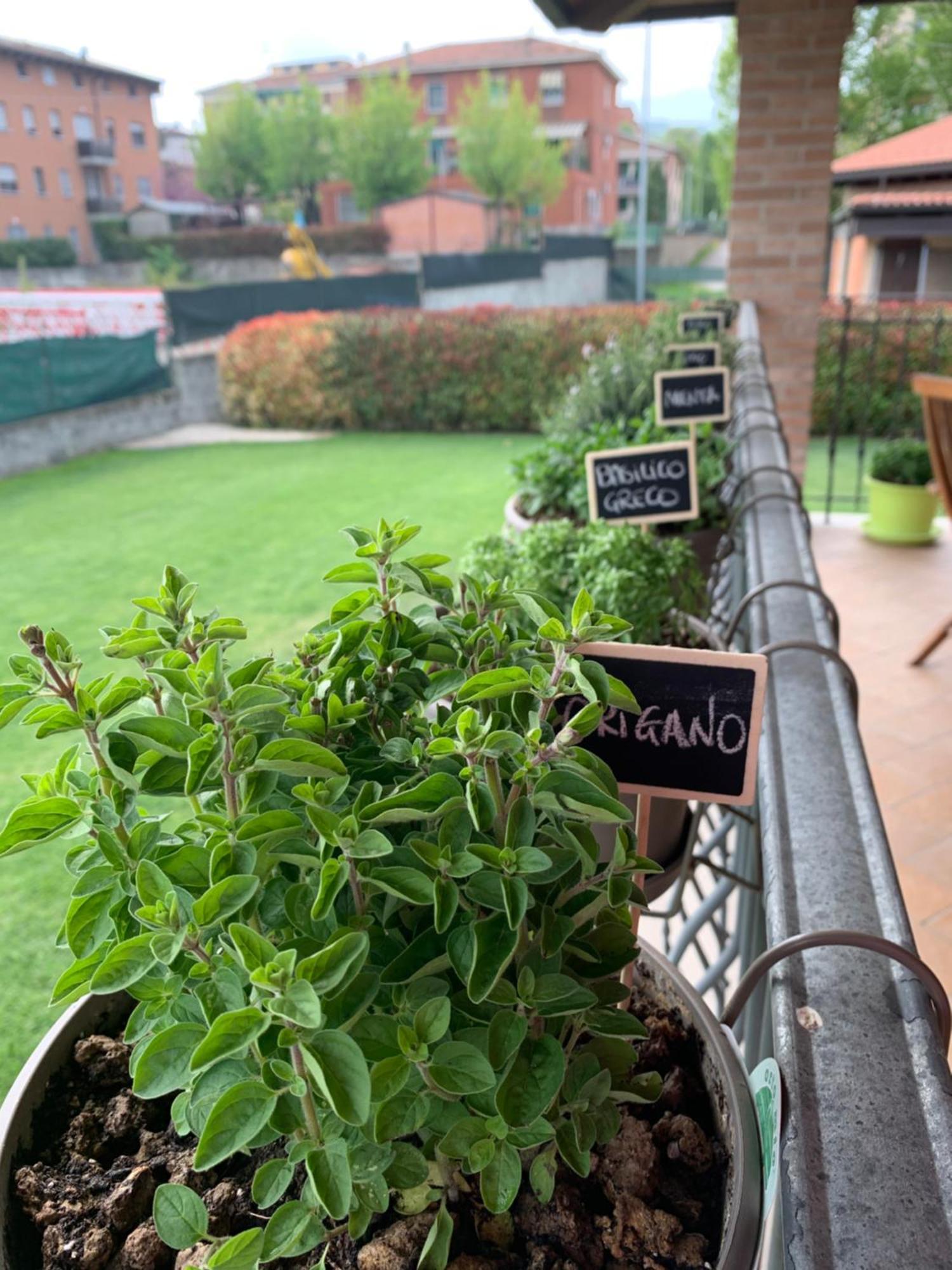 Appartamento Con Giardino Pontecchio Marconi Exterior foto